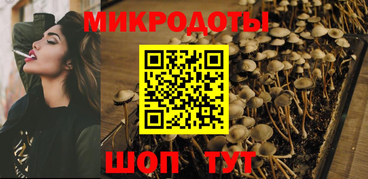 Галлюциногенные грибы прущие грибы  Вход с VPN  Среднеуральск 